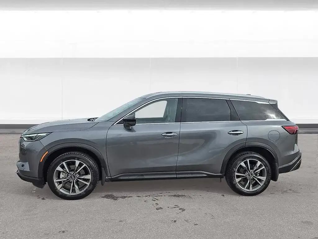 Infiniti Qx60 2025 photo 2