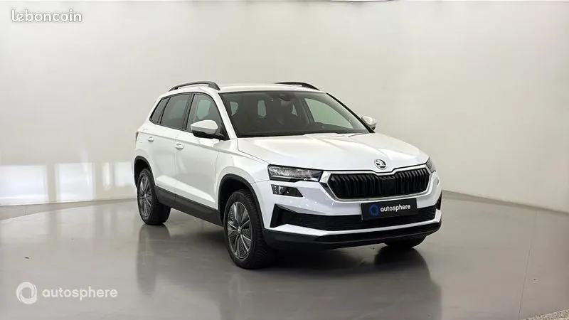 Skoda Karoq 2023 photo 3