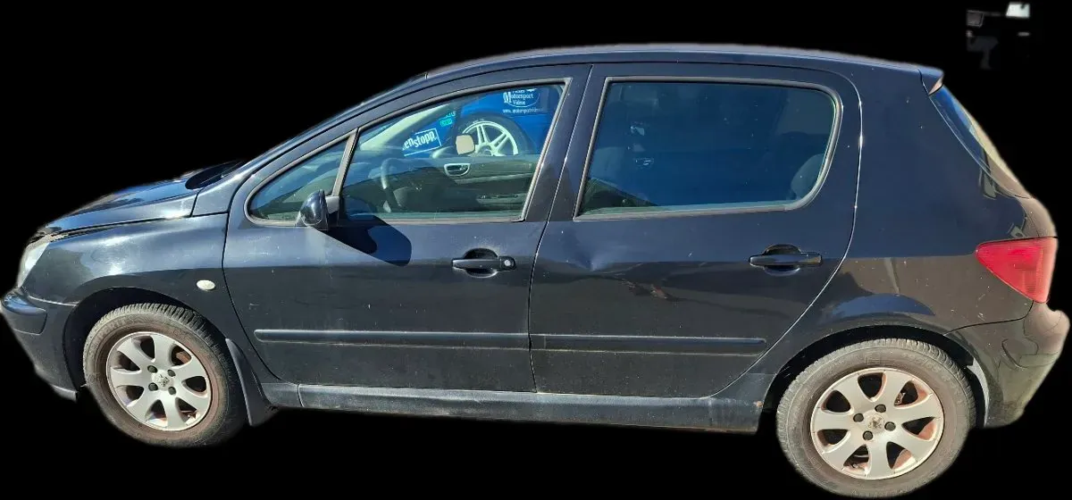 Peugeot 307 2003 photo 3