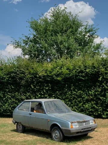 Citroen Axel