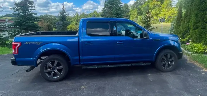 Ford F-150 2016 photo 3