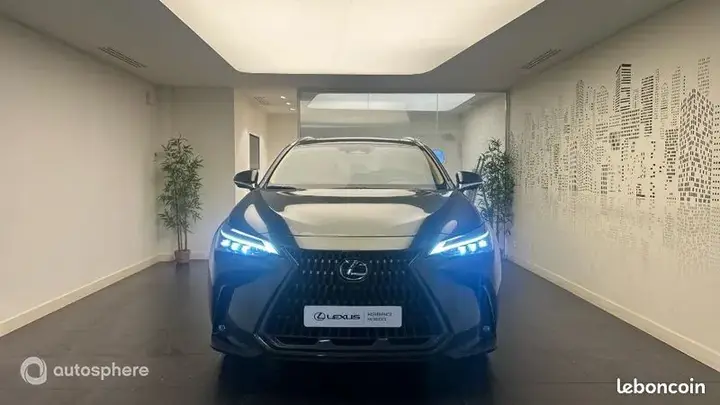 Lexus Nx 2024 photo 2