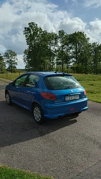 Peugeot 206 2007 photo 4