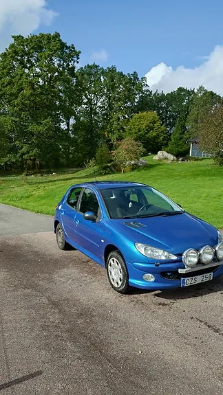 Peugeot 206 2007 photo 2
