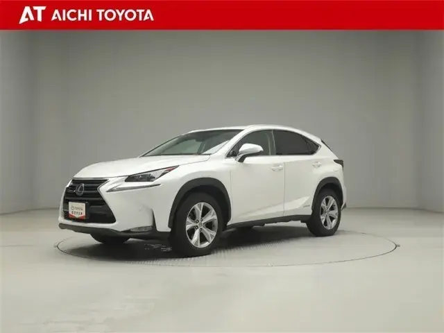 Toyota Nx