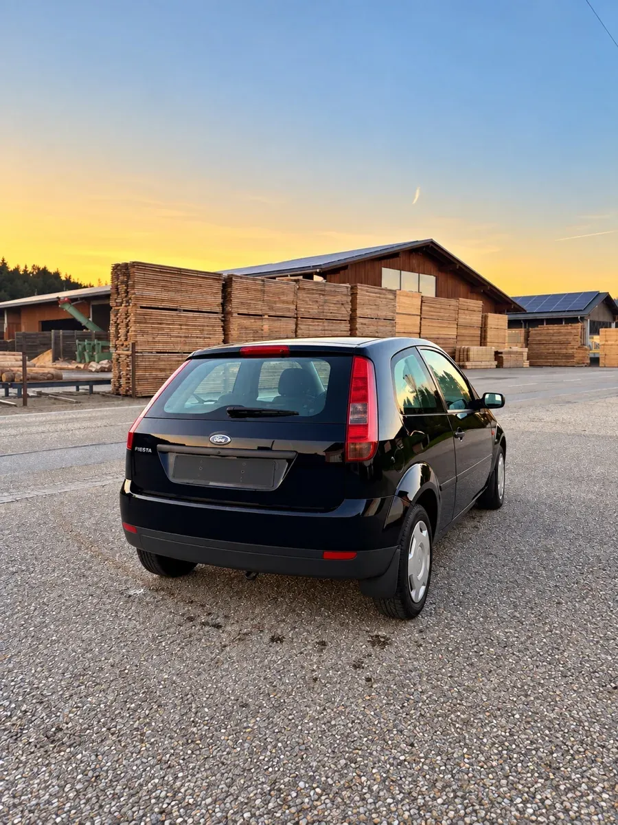 Ford Fiesta 2004 photo 3