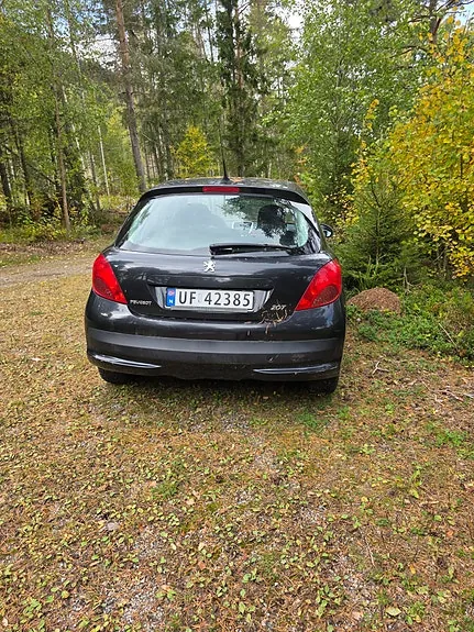 Peugeot 207 2009 photo 3