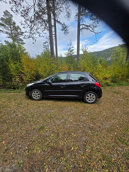 Peugeot 207 2009 photo 2