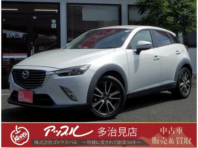 Mitsubishi Cx-3