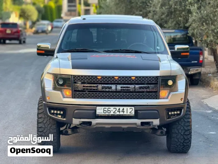 Ford F-150 2011 photo 3