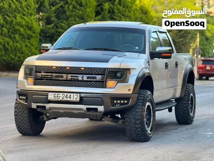 Ford F-150 2011 photo 2