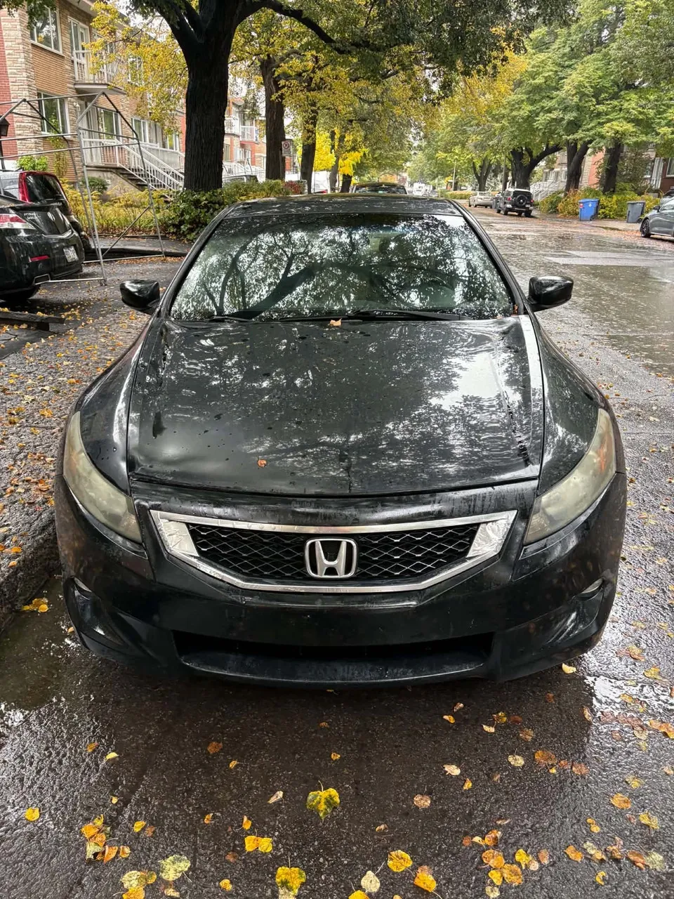 Honda Accord 2010 photo 4