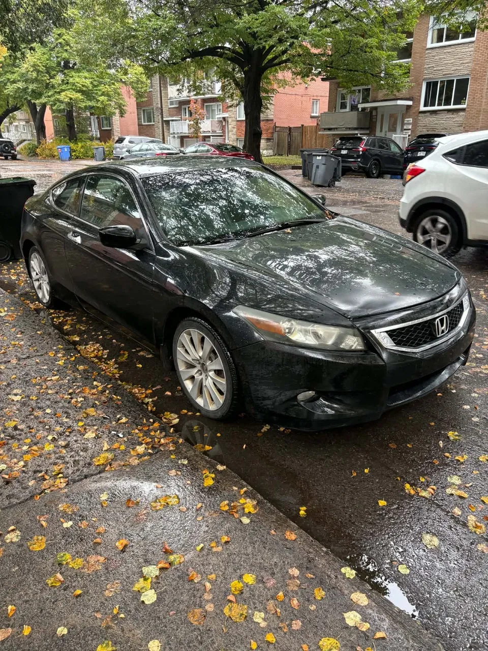 Honda Accord 2010 photo 2