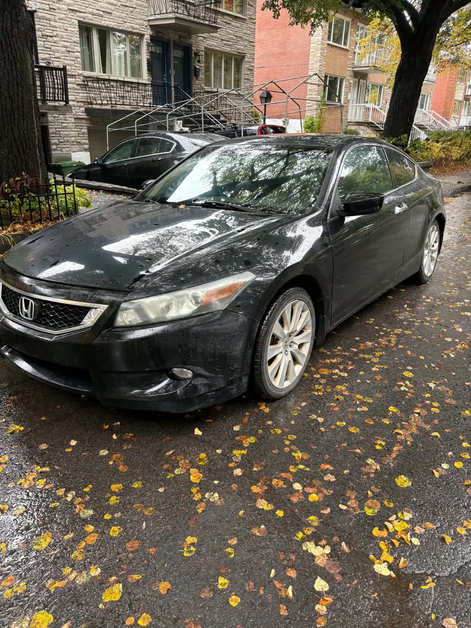 Honda Accord 2010 photo 5