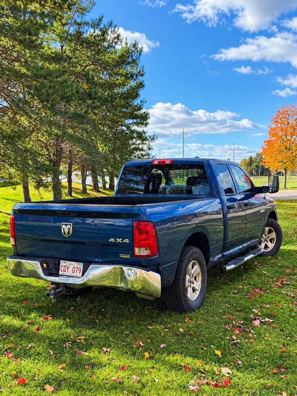 Dodge Ram 1500 2010 photo 5