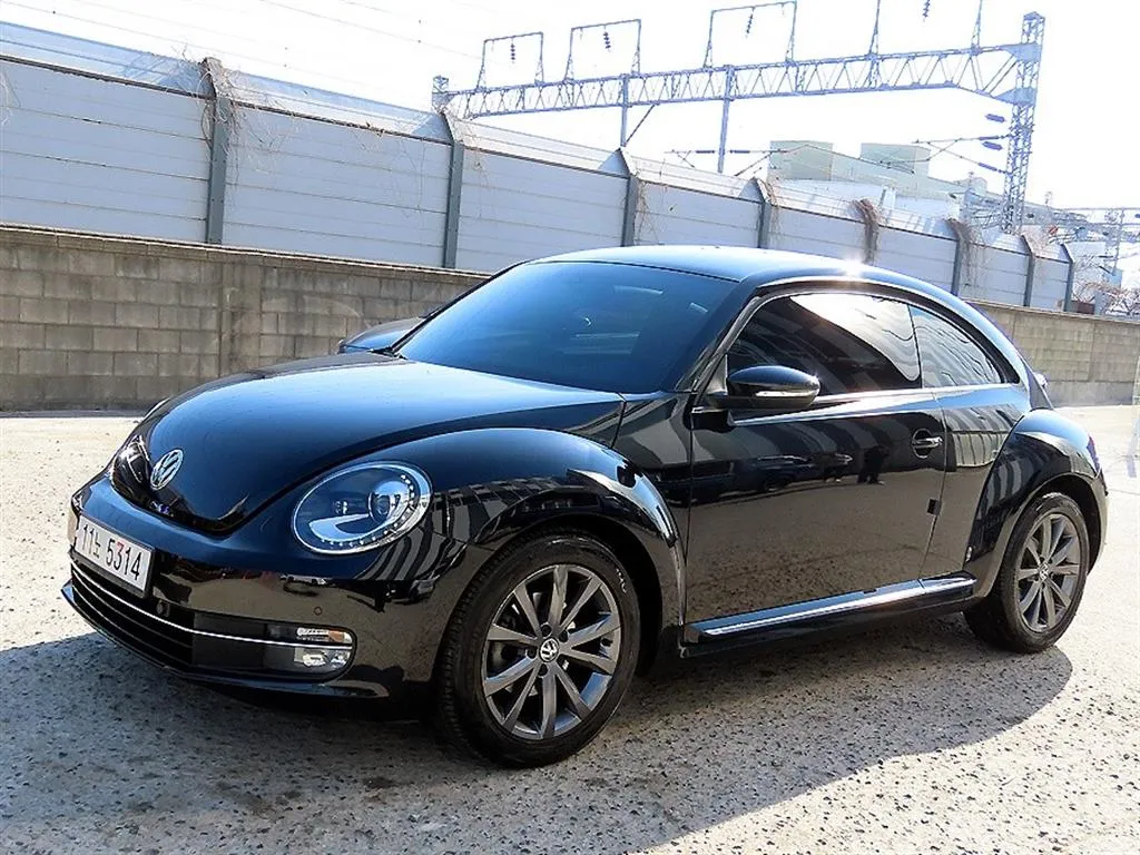 Volkswagen The Beetle