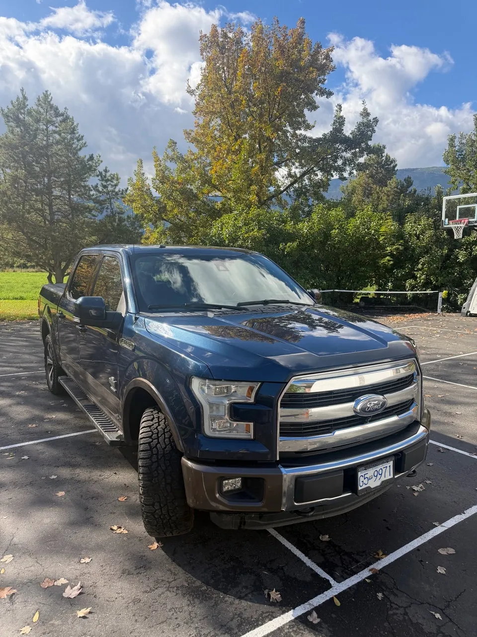Ford F-150 2015 photo 4