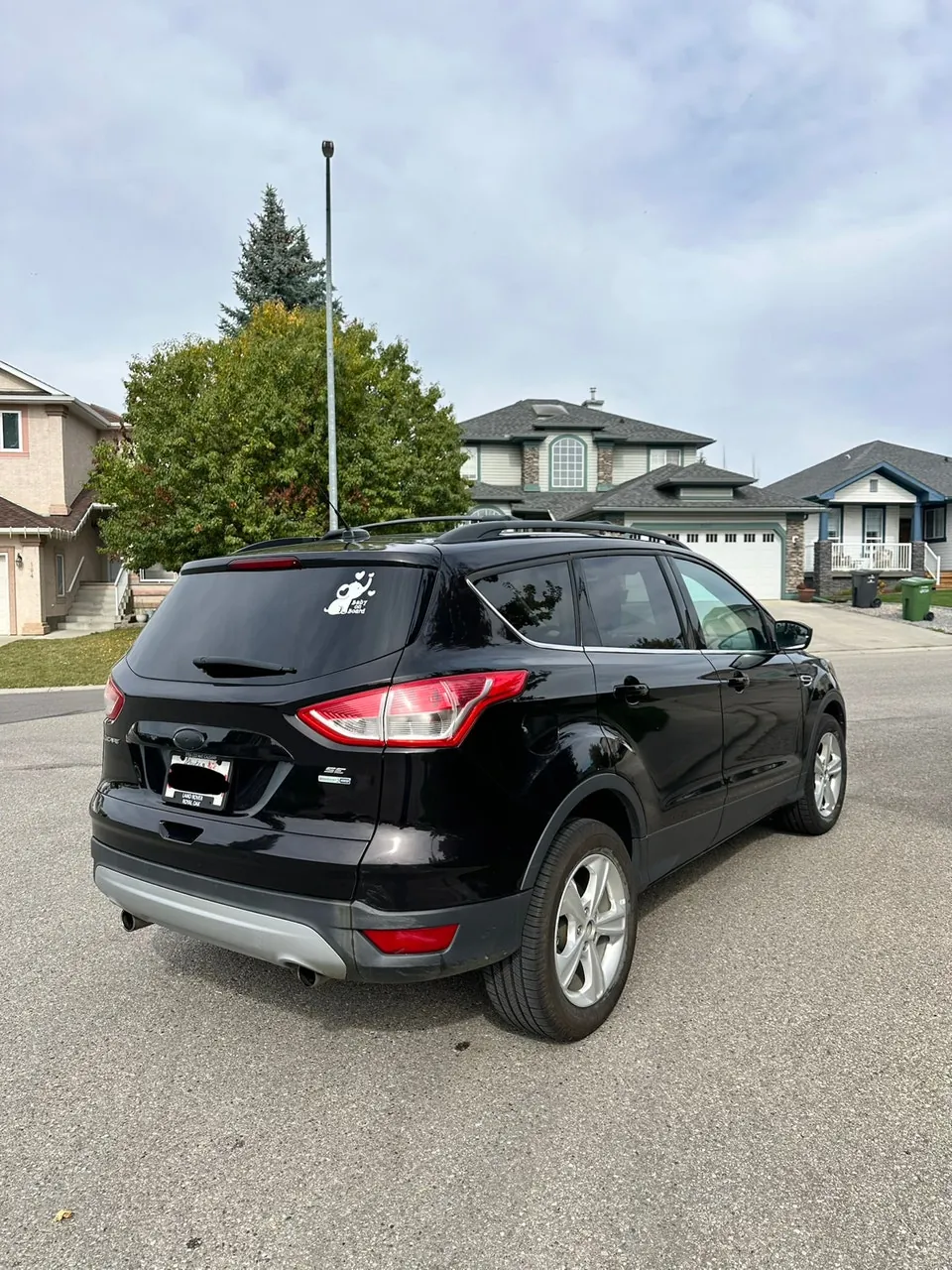 Ford Escape 2014 photo 3