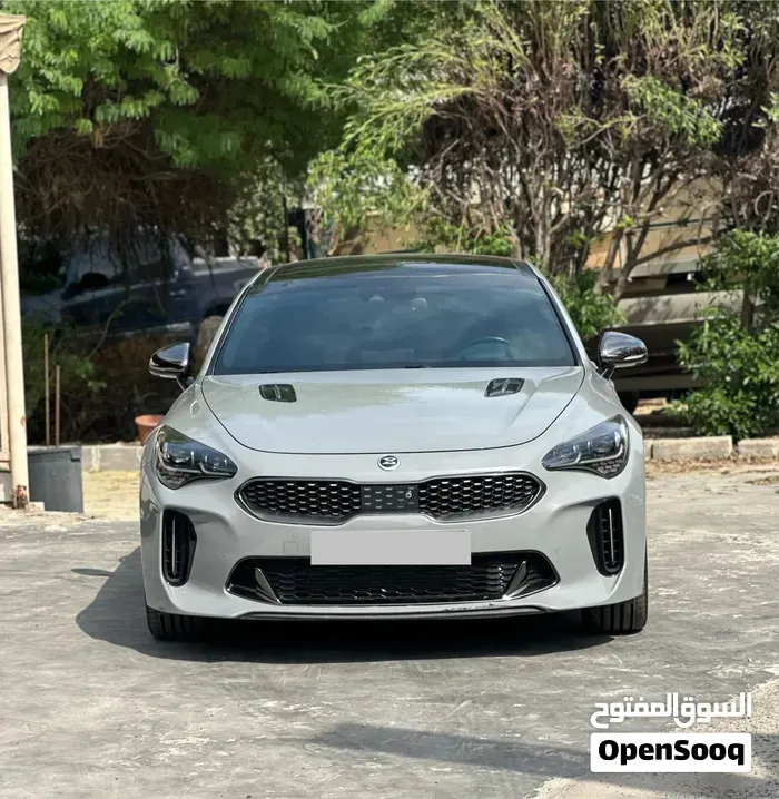 Kia Stinger 2020 photo 2