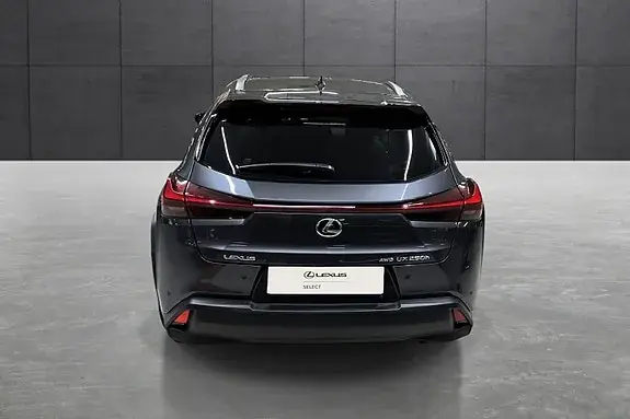 Lexus Ux250H 2023 photo 4