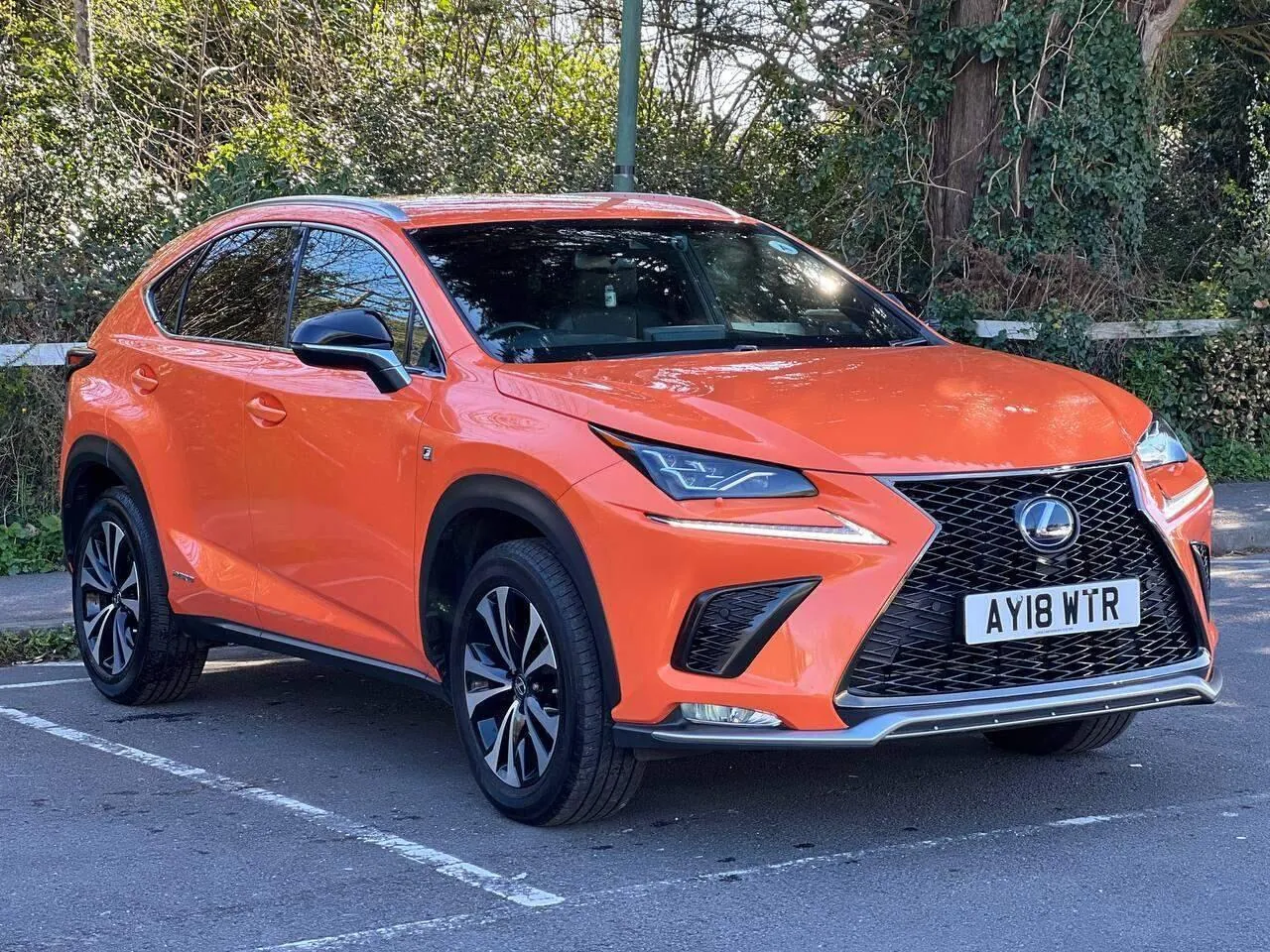 Lexus Nx 2018 photo 4