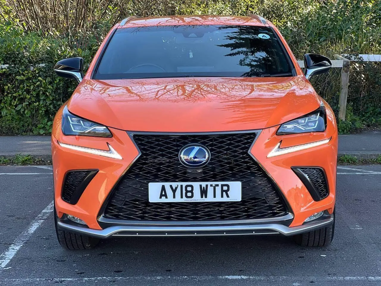Lexus Nx 2018 photo 5
