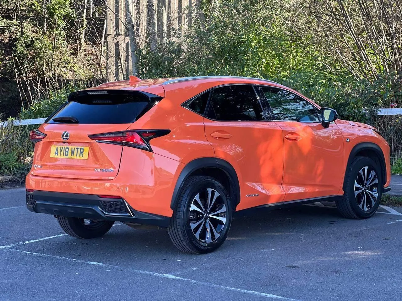 Lexus Nx 2018 photo 3