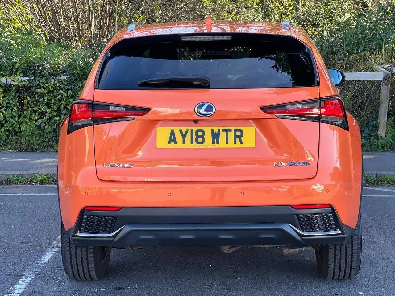 Lexus Nx 2018 photo 2