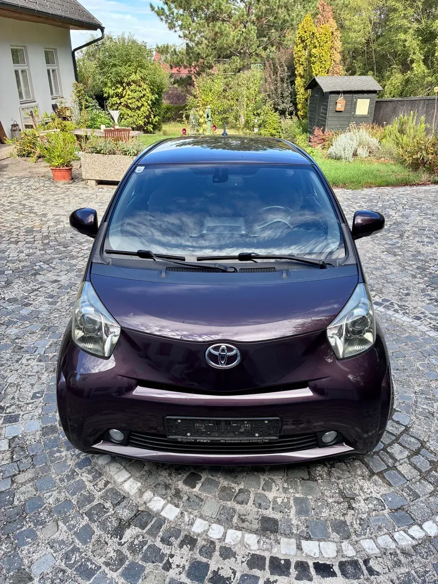 Toyota Iq 2009 photo 3