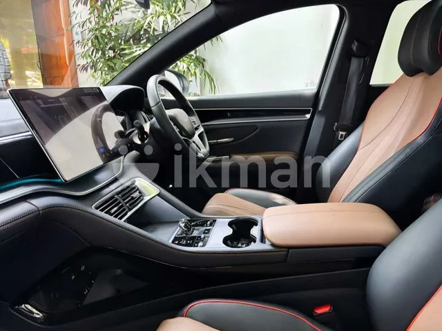 BYD Sealion 6 2025 photo 2