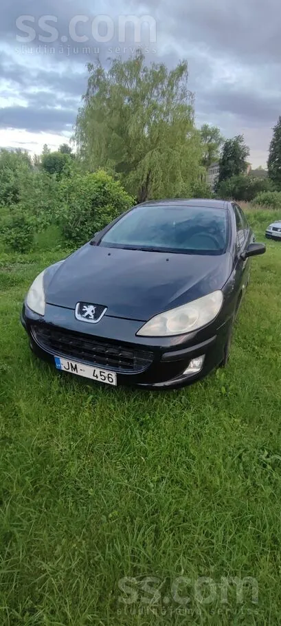 Peugeot 407 2005 photo 3
