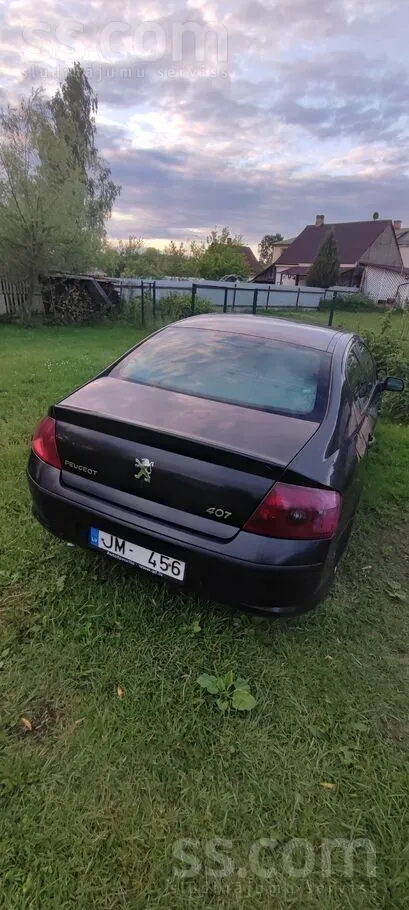 Peugeot 407 2005 photo 4