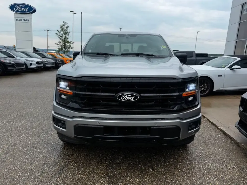 Ford F-150 2025 photo 2