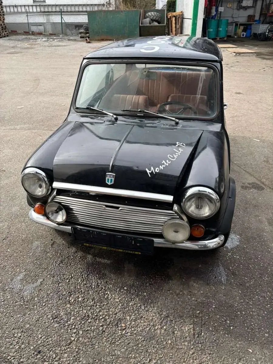 Mini Sonstige