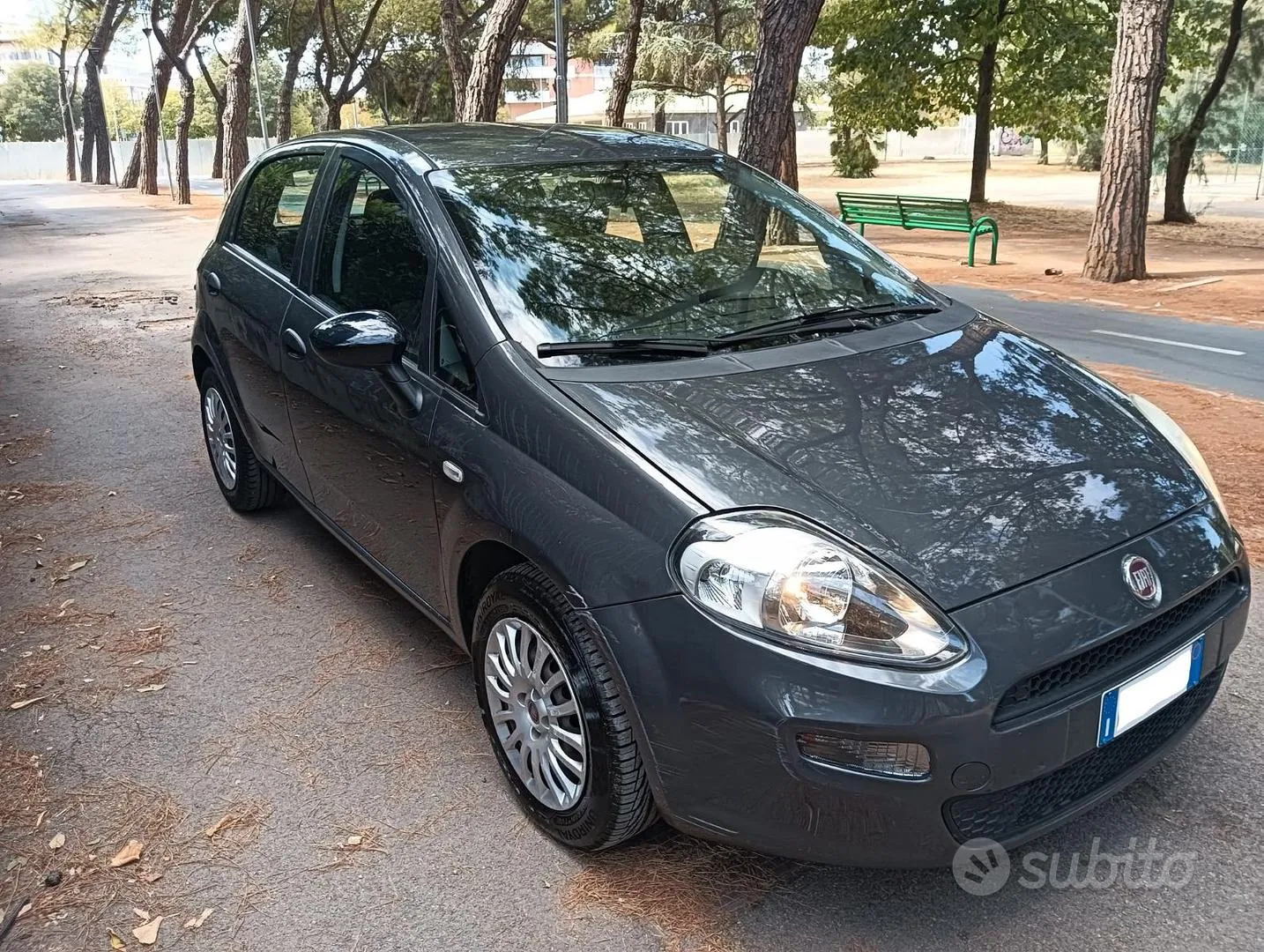 Fiat Punto