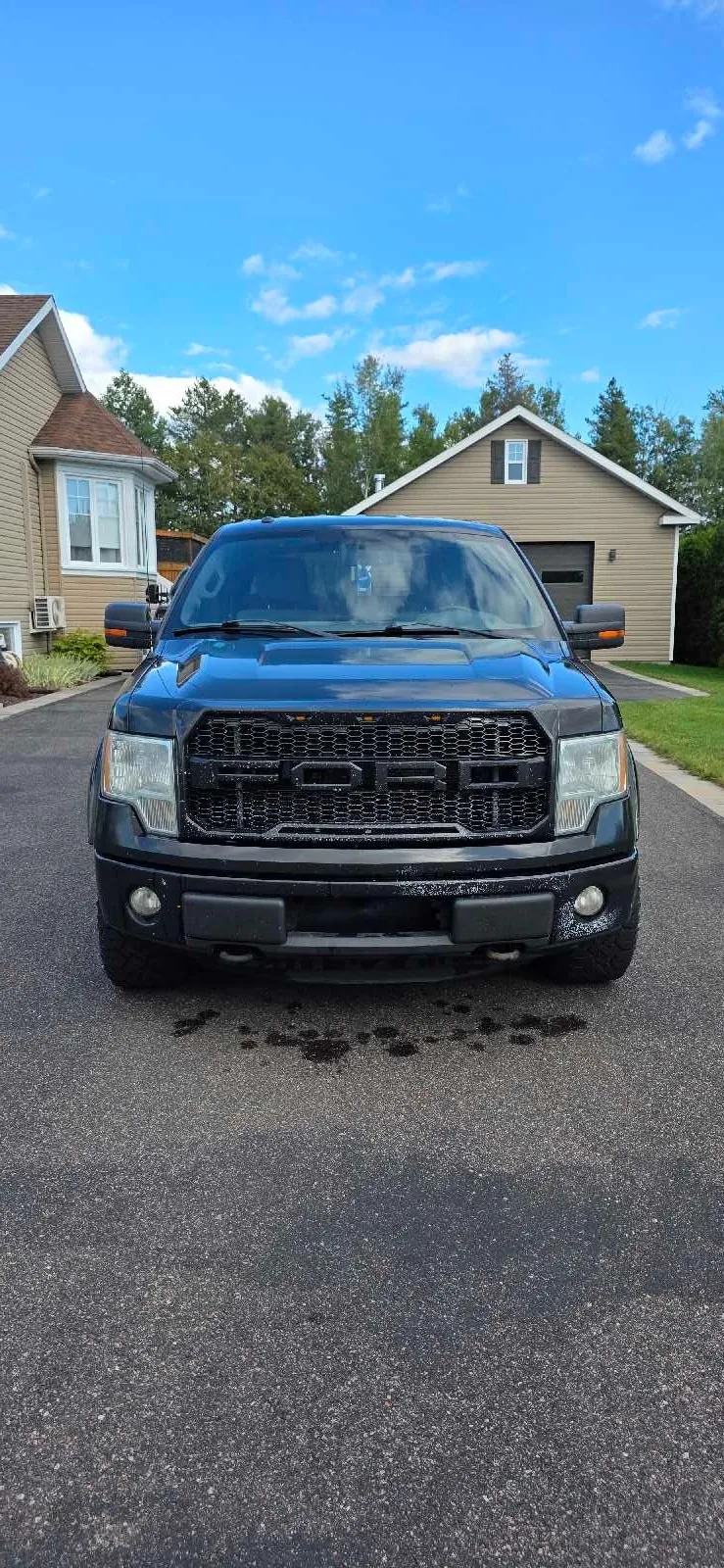 Ford F-150 2013 photo 2