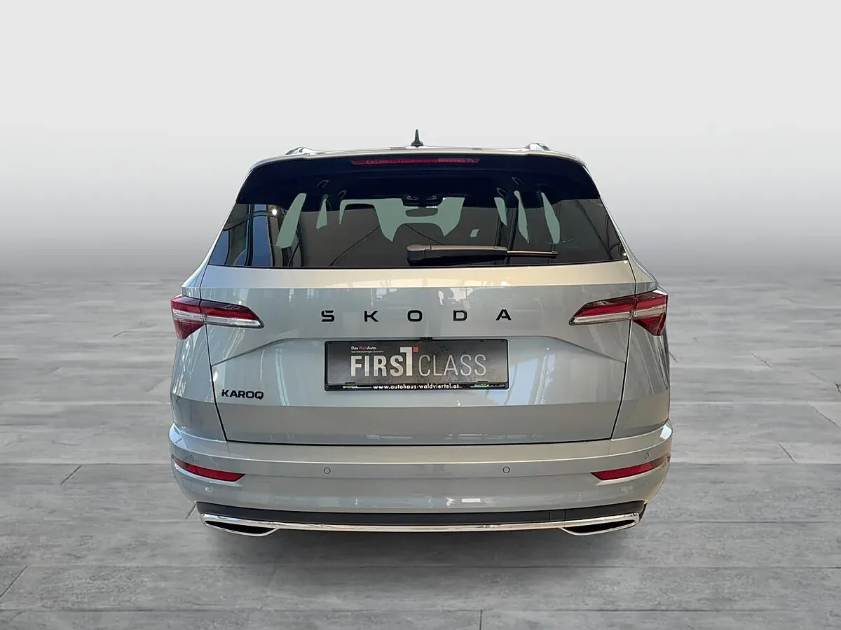 Skoda Karoq 2026 photo 3
