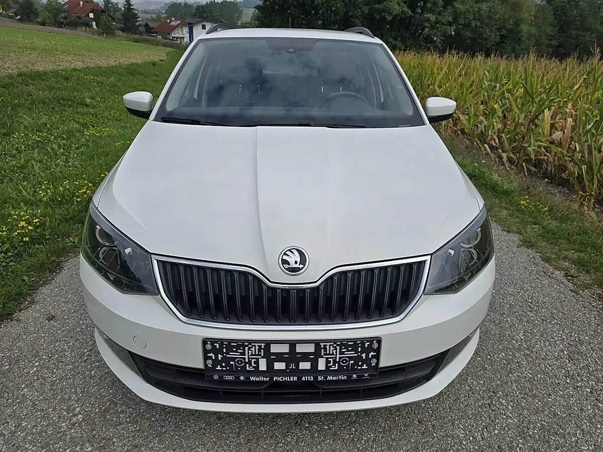 Skoda Fabia 2018 photo 2