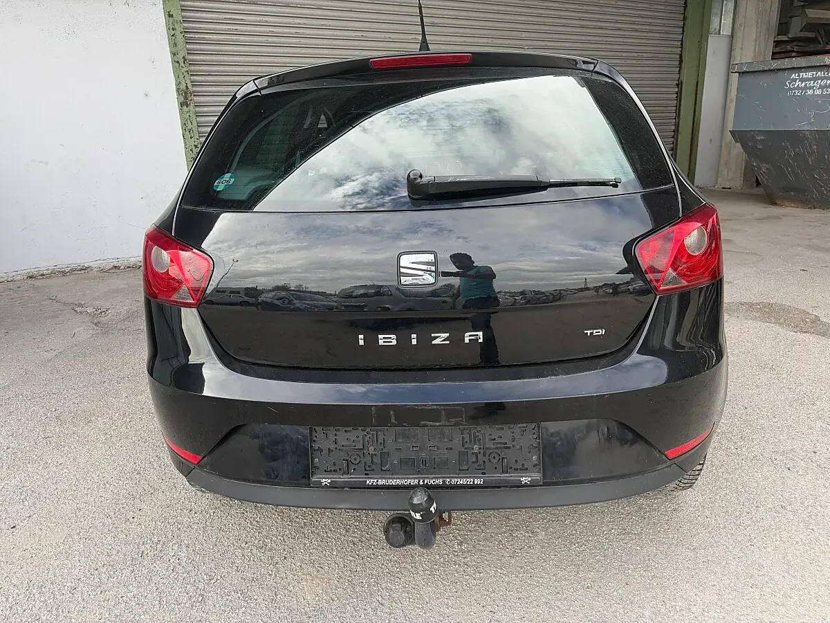 Seat Ibiza 2014 photo 2