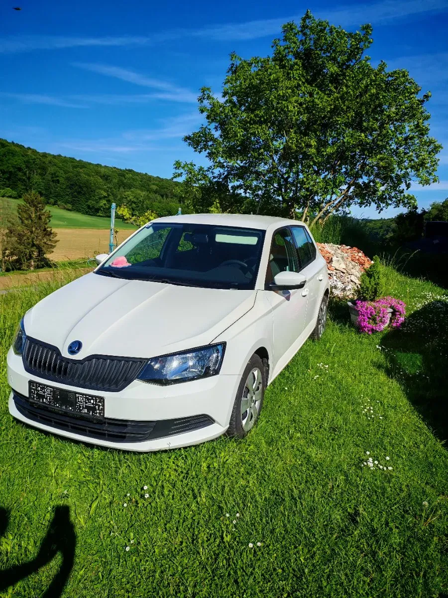 Skoda Fabia 2017 photo 2