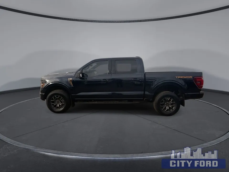 Ford F-150 2024 photo 5