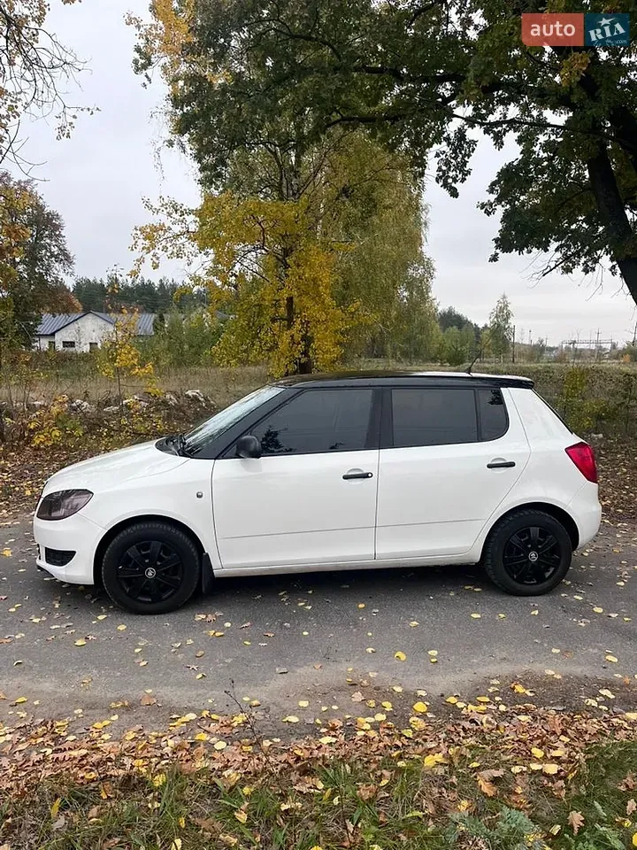 Skoda Fabia 2010 photo 3