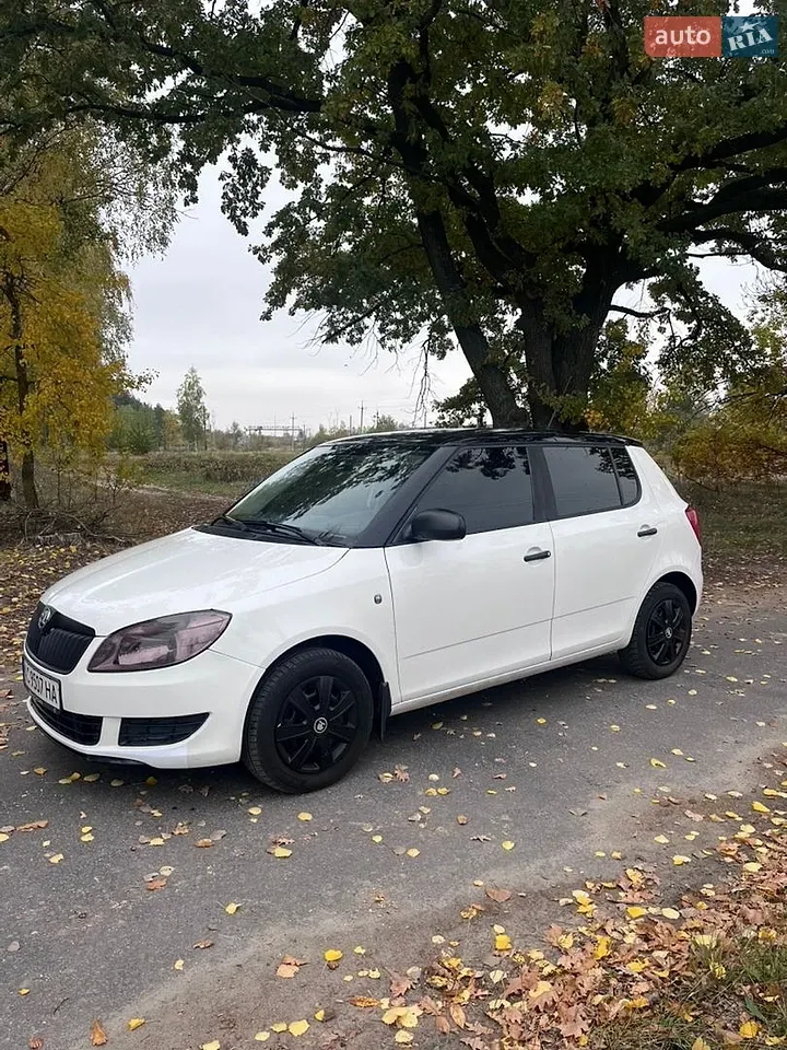 Skoda Fabia 2010 photo 2