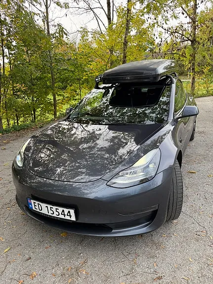Tesla Model 3 2021 photo 2