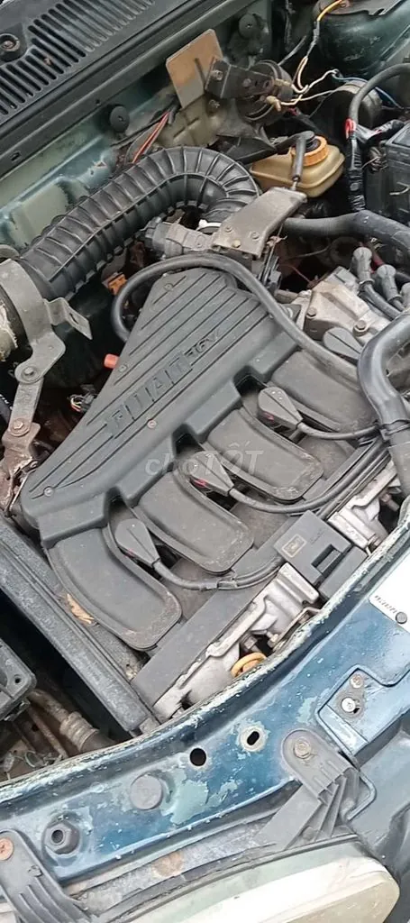 Fiat Dòng Khác