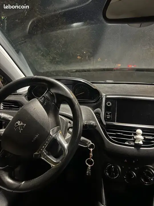 Peugeot 208 2019 photo 3