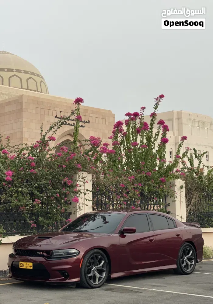 Dodge Charger 2017 photo 4