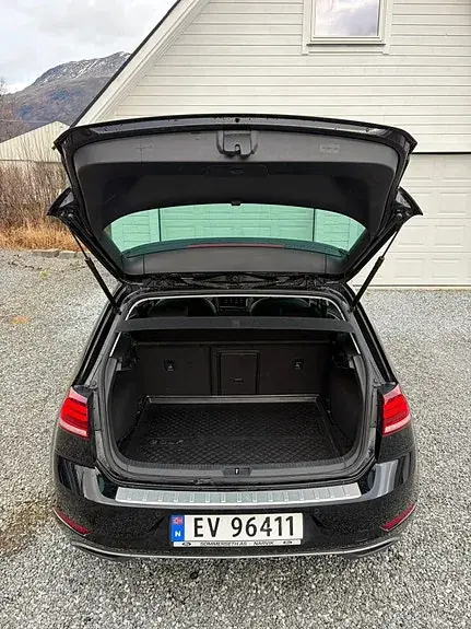 Volkswagen E-Golf Vii 2020 photo 3