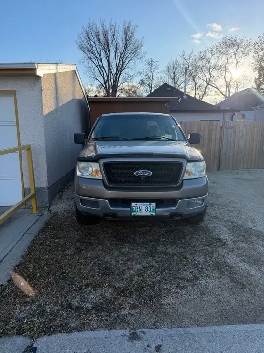 Ford F-150 2004 photo 2
