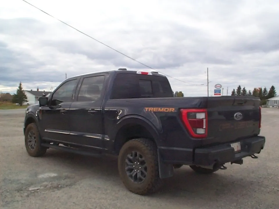 Ford F-150 2023 photo 4